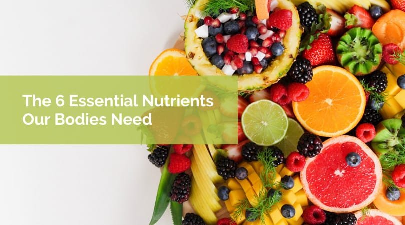 6 Essential Nutrients Your Body Needs Every Day
