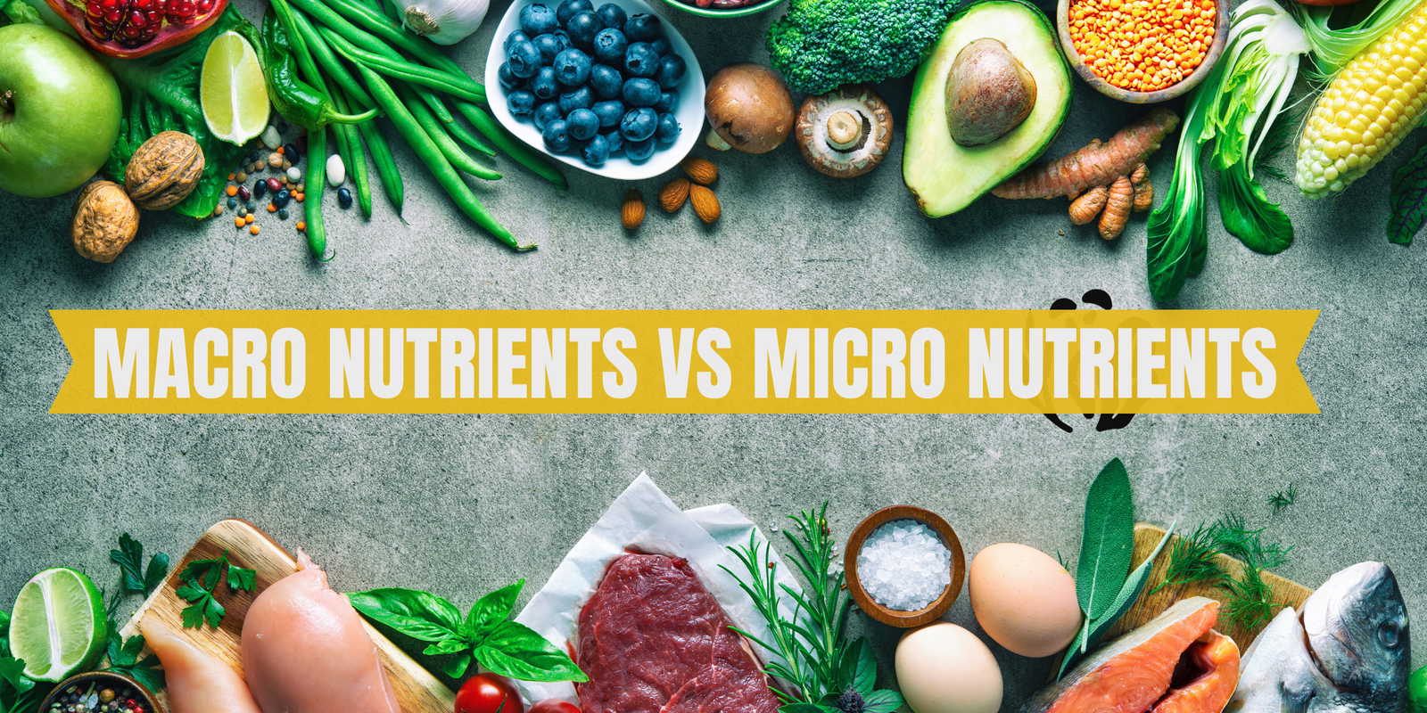 Macronutrients vs Micronutrients: What’s the Difference?